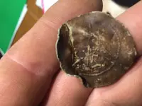 Button - not sure.webp