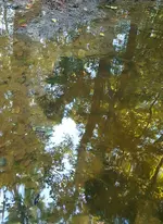 20160907_185910.webp