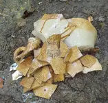 20160905_200154.webp