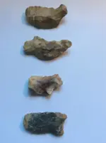 ImageUploadedByTreasureNet.com1469542168.424831.webp
