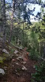 Dub Trail.webp