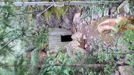20160626_080252.webp