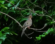 K1600_DSCN3876.webp
