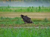 K1600_DSCN3907.webp