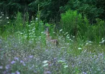 K1600_DSCN3950.webp