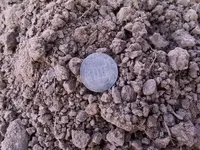 3cent6.webp