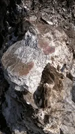 112.webp
