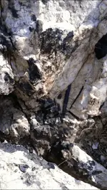 113.webp