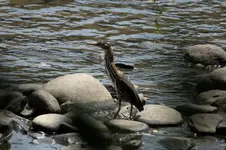 K1600_IMG_3427.webp