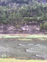 IMG_1033.webp IMG_1033.webp