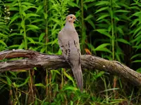 K1600_DSCN4389.webp