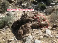 ELEPHANT HEAD.webp