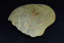 ImageUploadedByTreasureNet.com1470279567.272612.webp