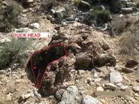 DUCK HEAD.webp