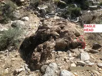 EAGLE HEAD.webp