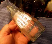 17 CL19 08 2016 Wildroot Btl.webp