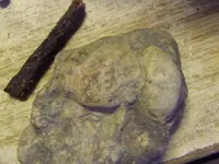 DSCF0999.webp