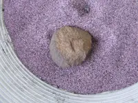 DSCF0997.webp