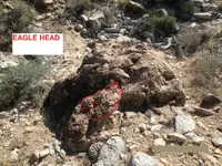 EAGLE HEAD 2.webp
