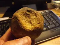 group of artifacts 002.webp