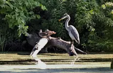 K1600_IMG_0810.webp