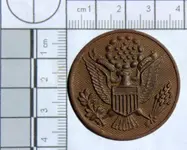 Military badge front.webp