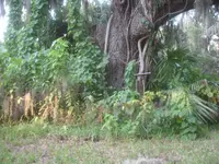 DSC00039.webp