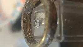 Ring.webp