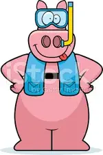 images (1).webp