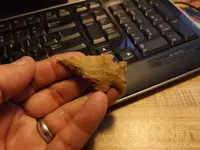 group of artifacts 004.webp