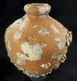 ImageUploadedByTreasureNet.com1470286161.339399.webp