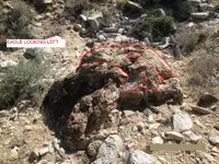 EAGLE LOOKING LEFT.webp