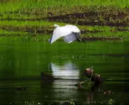 K1600_DSCN4454.webp