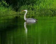 K1600_DSCN4459.webp