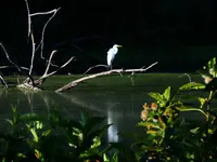 K1600_DSCN4435.webp