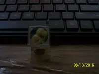 100_8891.webp