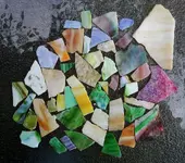 DSCN5655.webp