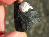 DSCN6639.webp