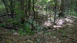IMG_20160917_142136.webp