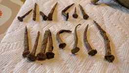 IMG_20160917_182103.webp