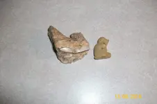 100_0736.webp