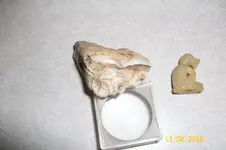 100_0738.webp 100_0738.webp