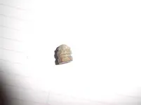 DSCF0235.webp