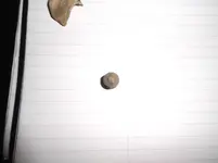 DSCF0240.webp