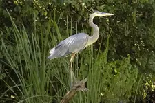 K1600_IMG_1458.webp