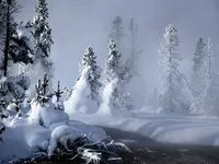 Winter+Scenery+%u0025252831%u00252529.webp