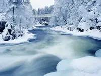 Winter+Scenery+%u0025252832%u00252529.webp