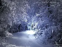 Winter+Scenery+%u0025252834%u00252529.webp