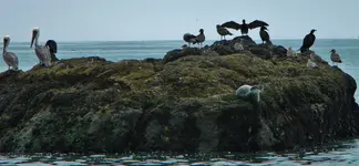 DSCN0903.webp