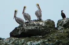DSCN0921.webp
